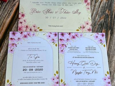 Thiệp cưới mẫu HT00101