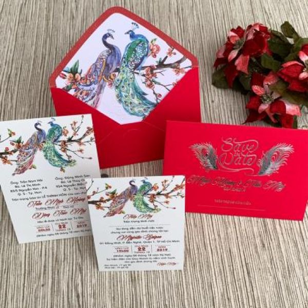 Thiệp cưới mẫu DQ2013DONHUNG